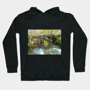 Stone Bridge and Still Water. Hoodie